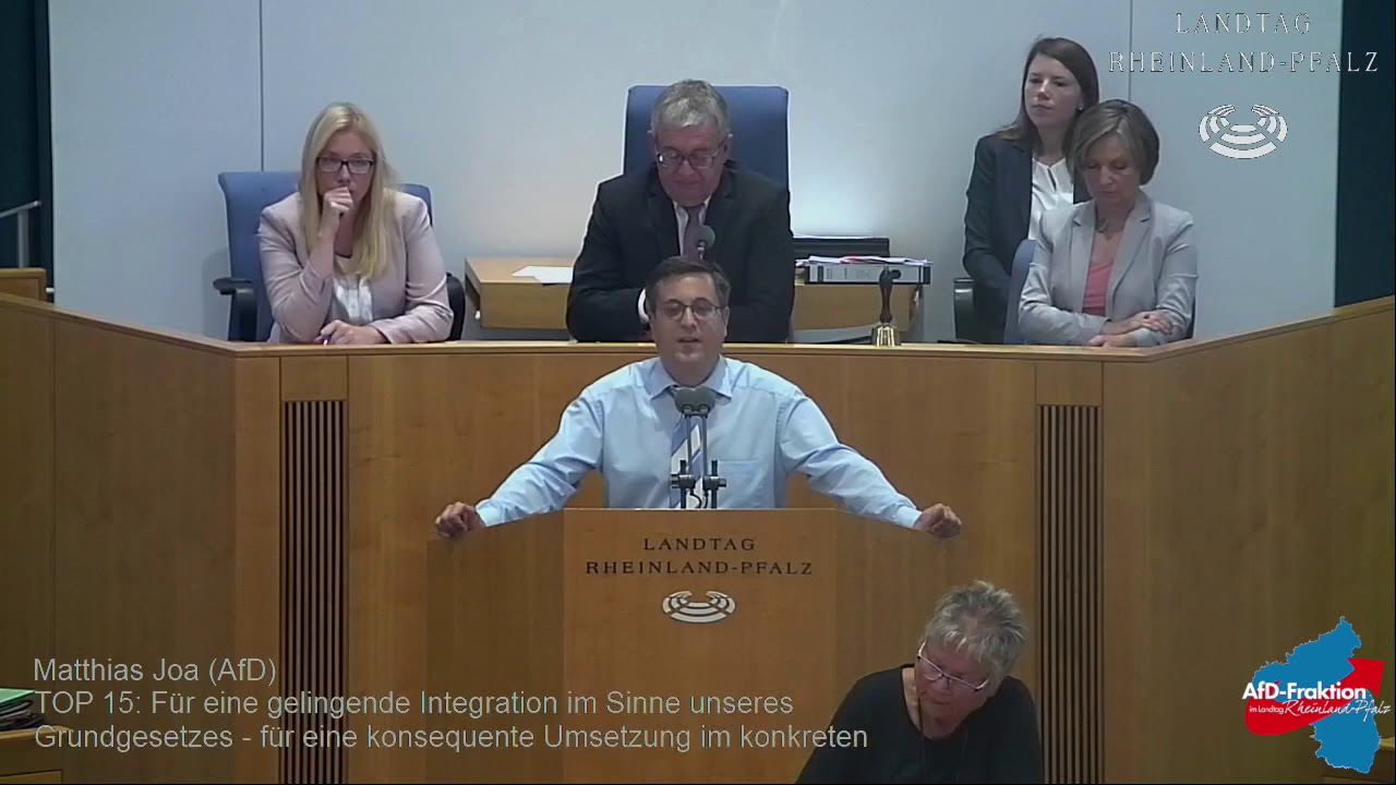 Matthias Joa (AfD) zur Integrationsdebatte