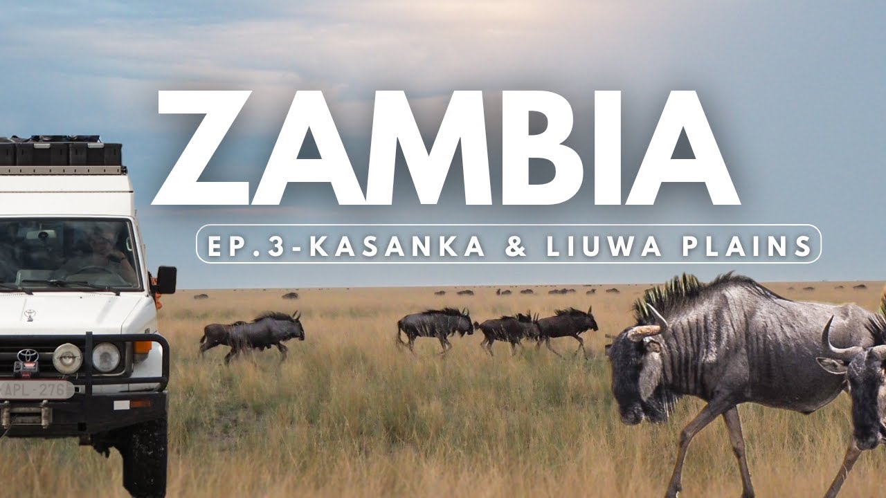 ZAMBIA Self-drive | Kasanka bats & Liuwa Plains wildebeest migration - Travel vlog Zambia EP3