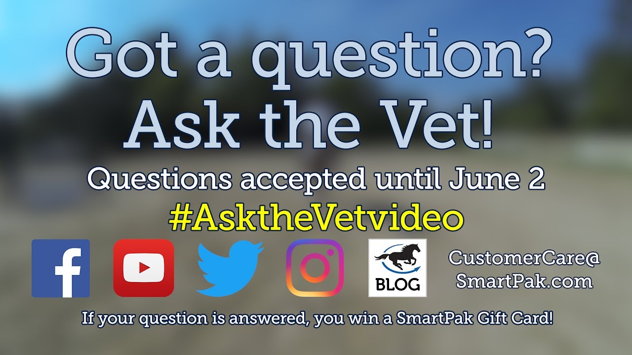 Ask your horse health questions for the July 2017 #AsktheVetVideo