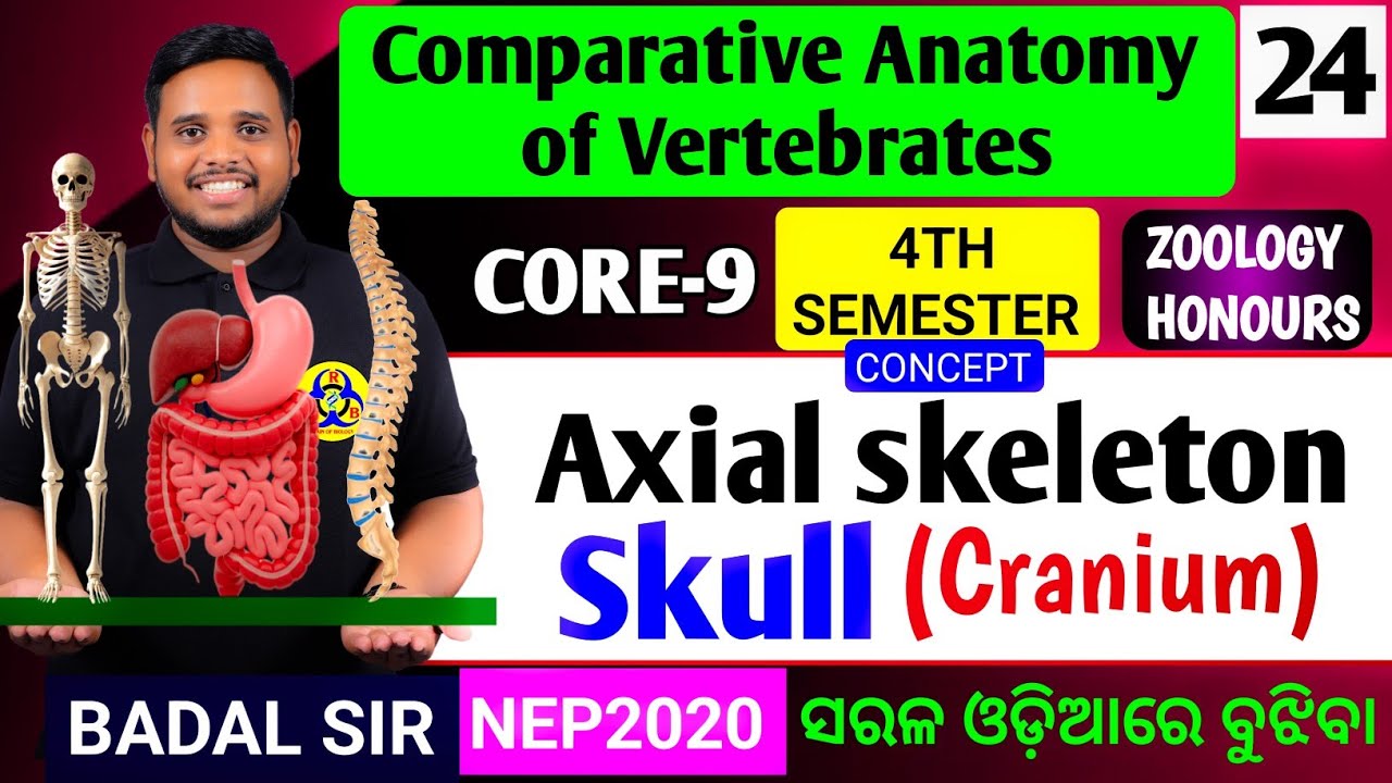 SKULL|Cranium|Axial skeleton|Zoology honours core9|Core9 zoology honours|Skeletal system|Zoology 