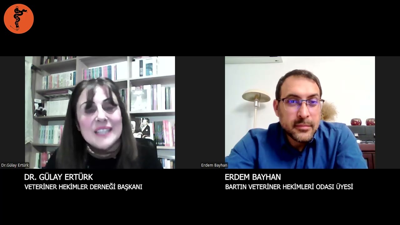 VHD Başkanı Dr. Gülay Ertürk | 2026 Yılbaşı Özel – Bölüm 2