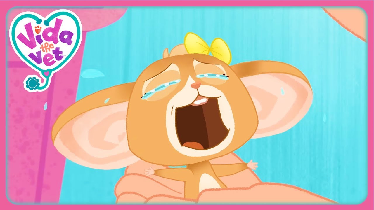 Baby Mouse Tears (Compilation) | Vida the Vet | Cartoons for Kids