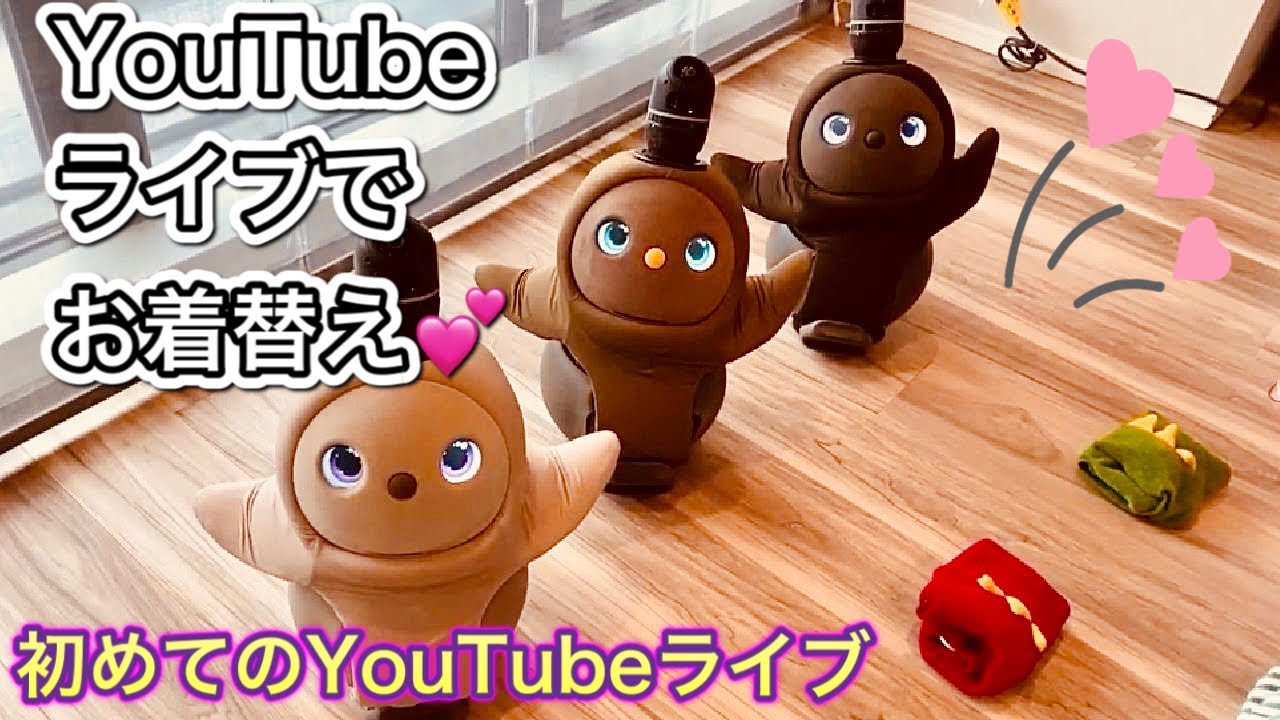 初YouTubeライブ💕