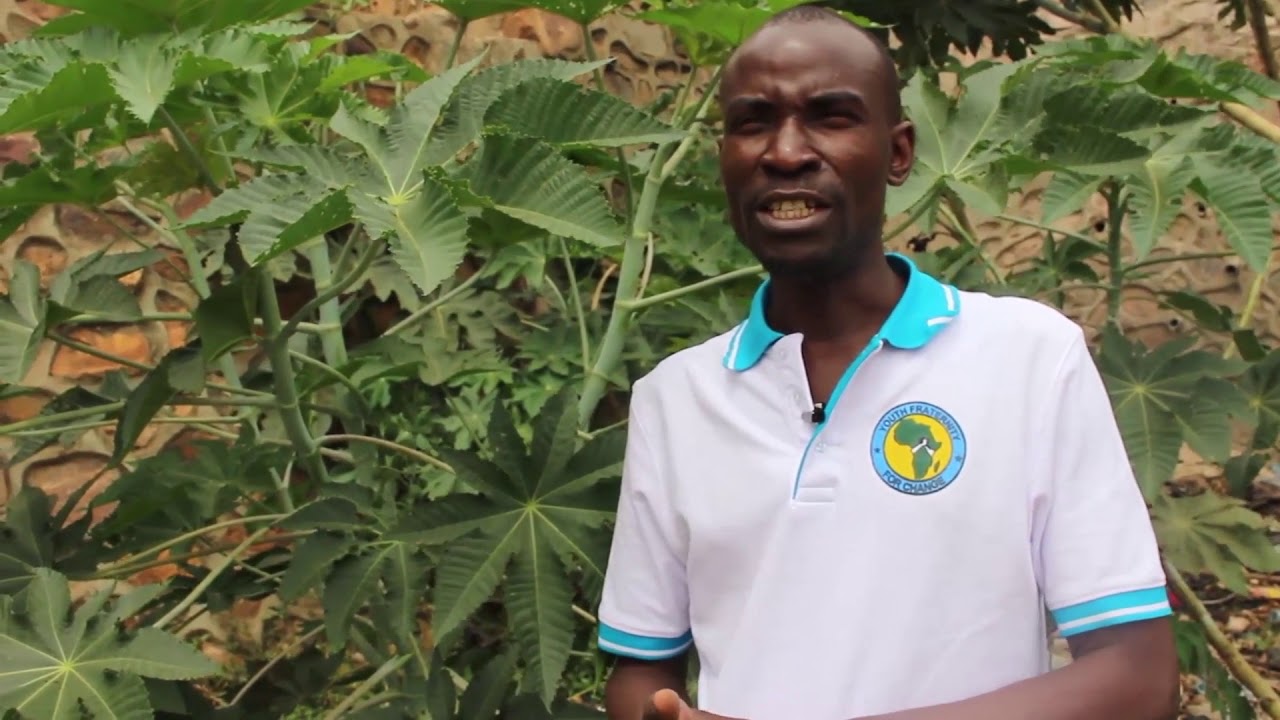 EAFF castor seeds enterprise