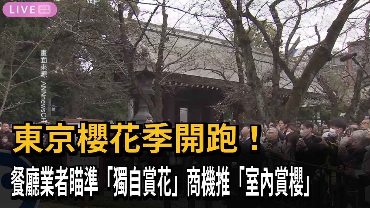 東京櫻花季開跑！ 民眾愛獨自賞花 「室內賞櫻」成新風潮－民視新聞