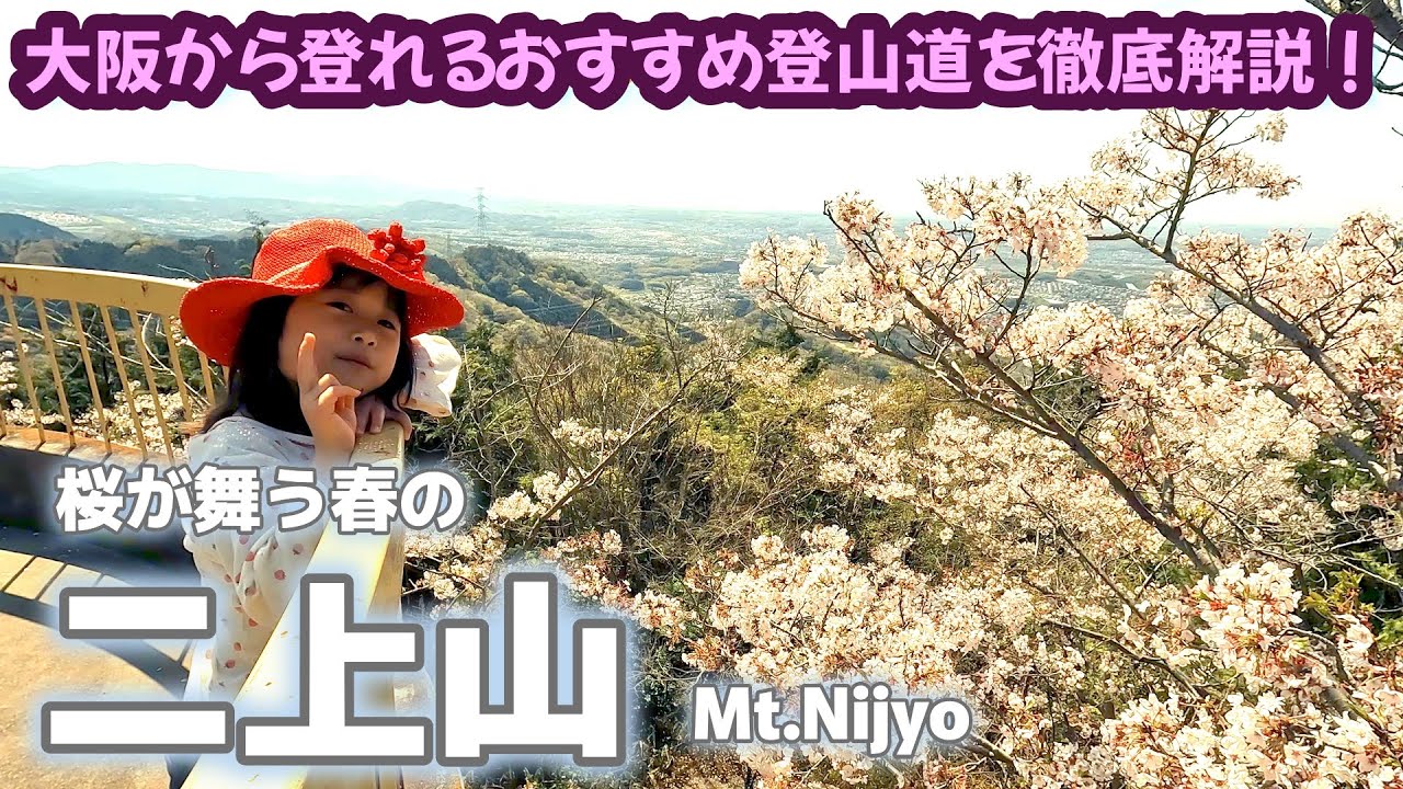 新一年生になったぬいちゃんが新しい気持ちで桜の舞う 二上山 に登る
