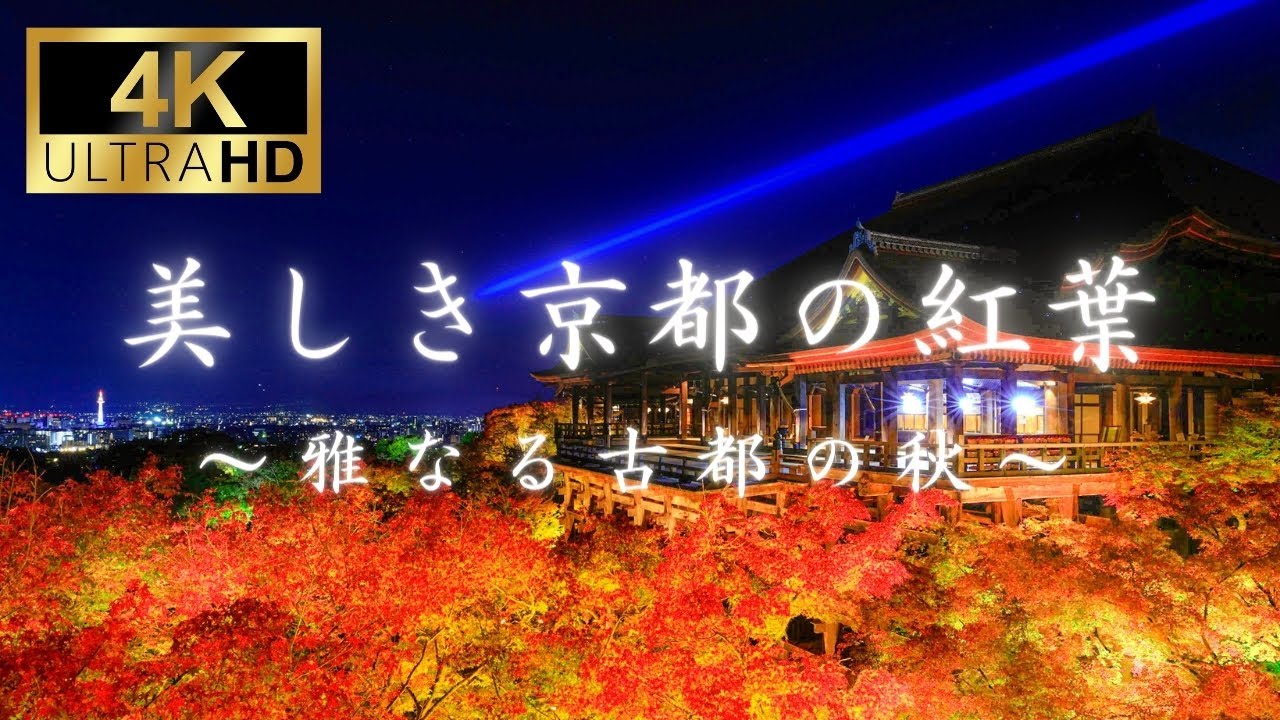 【写真家35選】美しき京都の紅葉～雅なる古都の秋～
