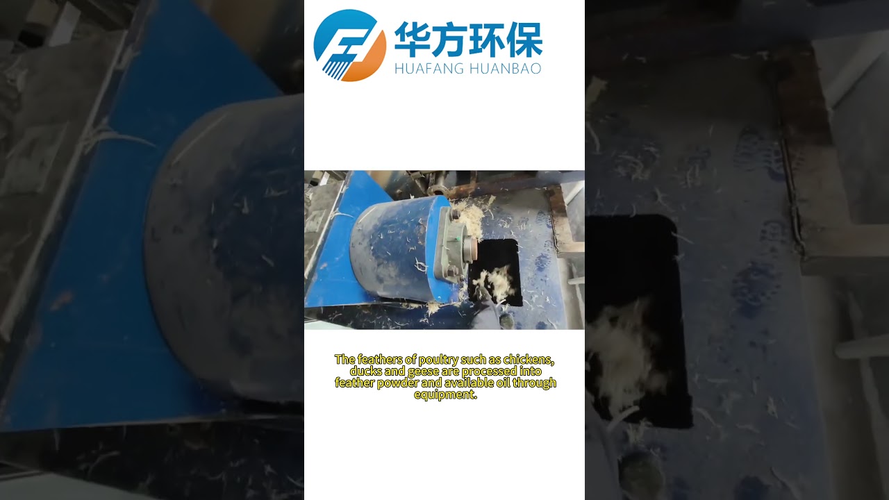 Feather Processing Equipment - Finished Product: Feather Powder 