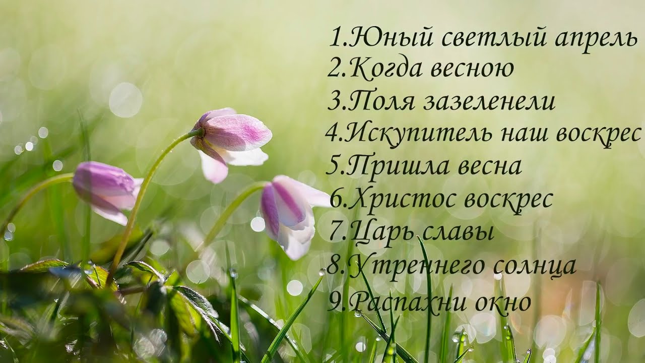 Пасхальная повесть | Альбом 2022 | Христианская музыка
