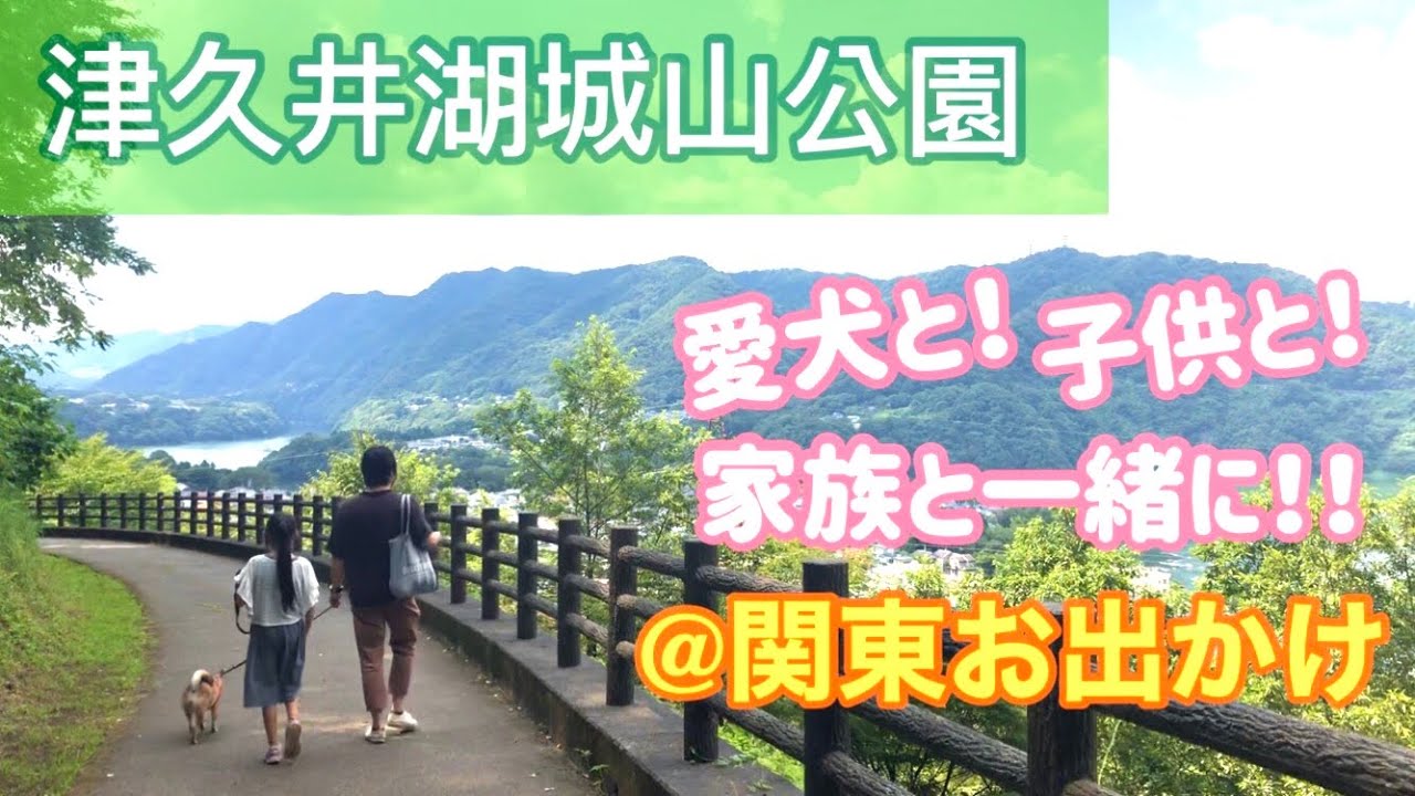 【神奈川県遊び場】愛犬も子供も家族みんなで楽しめる『津久井湖城山公園』🍃🌲🌳🍁【柴犬つむ】[shibainu-tsumu]