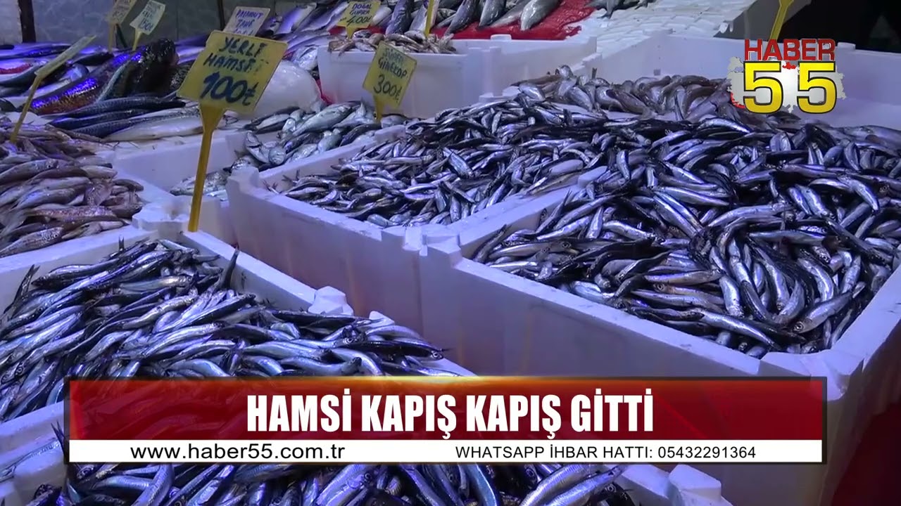 Samsun&rsquo;da hamsinin kilosu 300 TL&rsquo;den 100 TL&rsquo;ye d&uuml;şt&uuml;