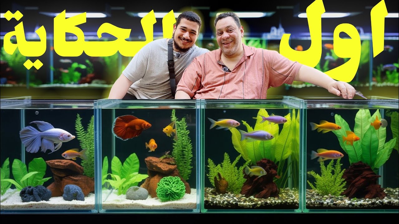 الرساله وصلت - قابلت أسطورة سمك الزينة في مصر! | رحلة الحج محمد حلمي من الصفر لقمة عالم السمك 🐠🔥