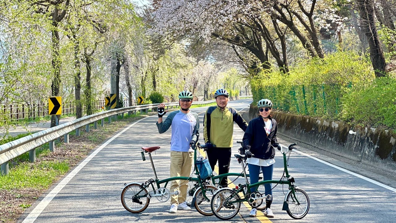 분원리, 벚꽃엔딩