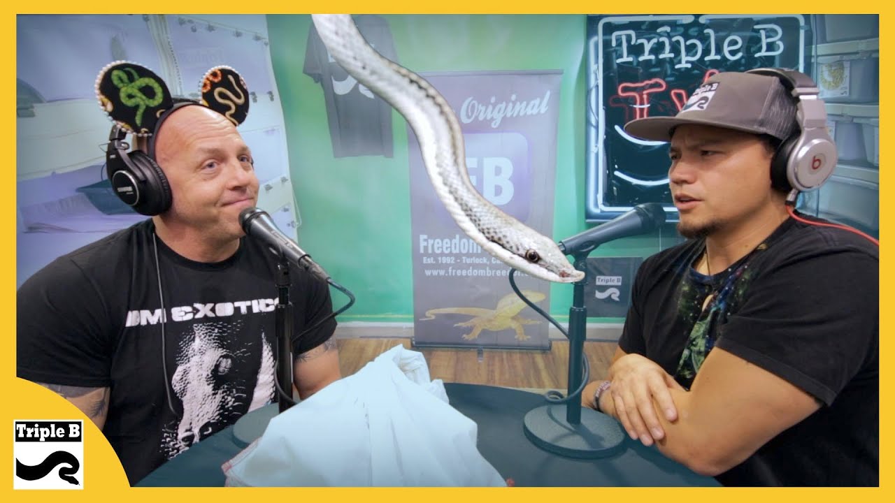 Nidovirus and Reptiles - Triple B TV Ep.228