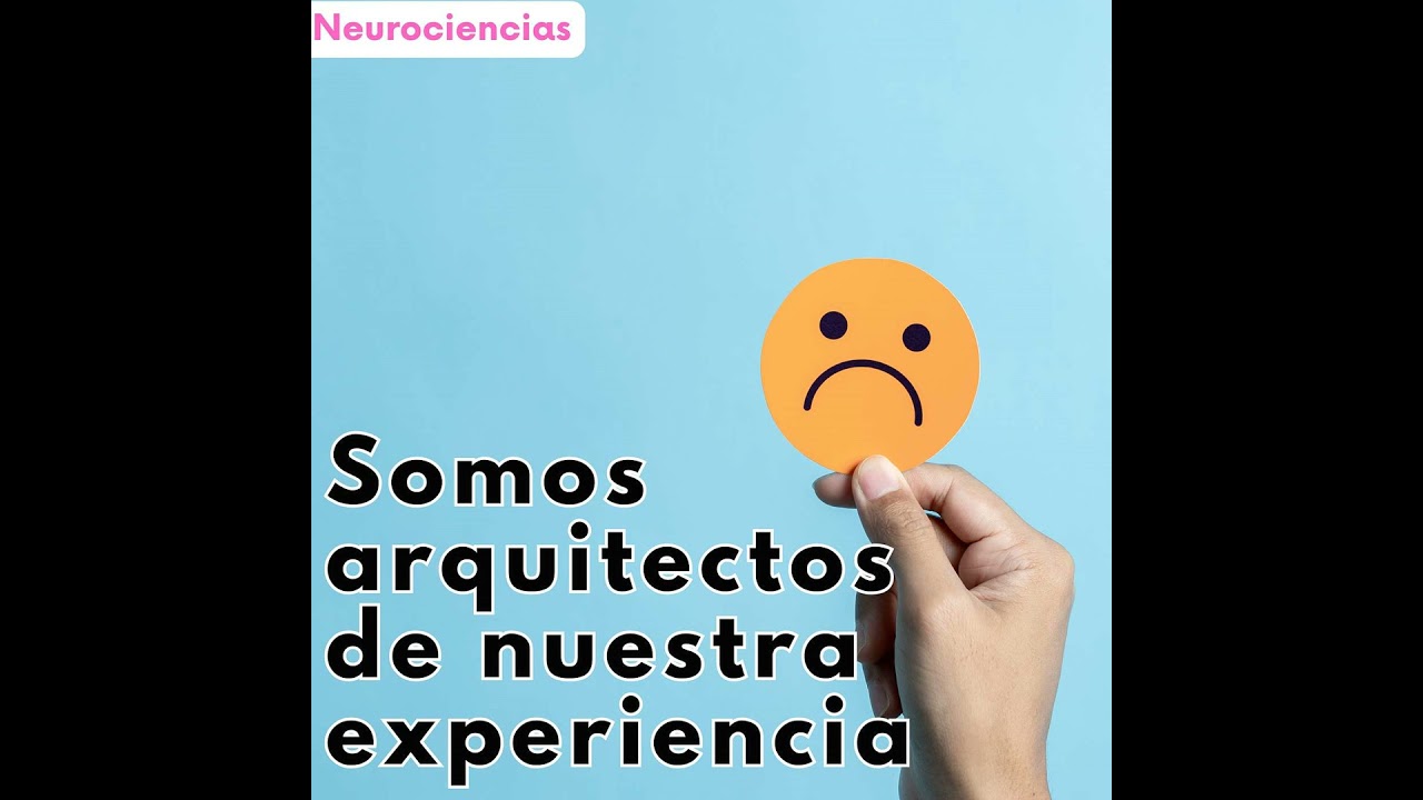 117-Somos arquitectos de nuestra experiencia