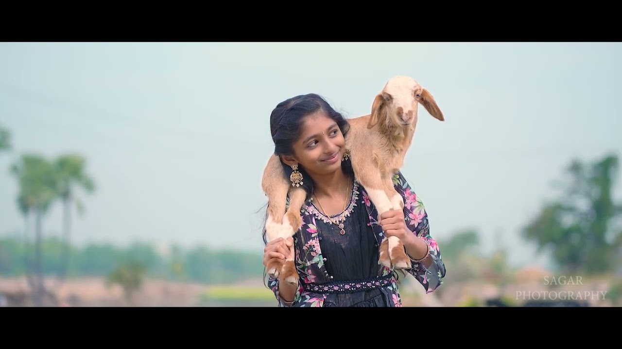 SAREE CERMONY SHOOT#preshoot #sareeceremony #cinematic  #trending #Best sareecermony shoot