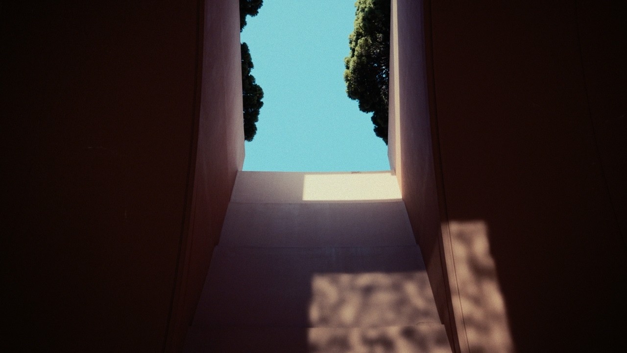 Spring Light | LUMIX S1 II Cinematic