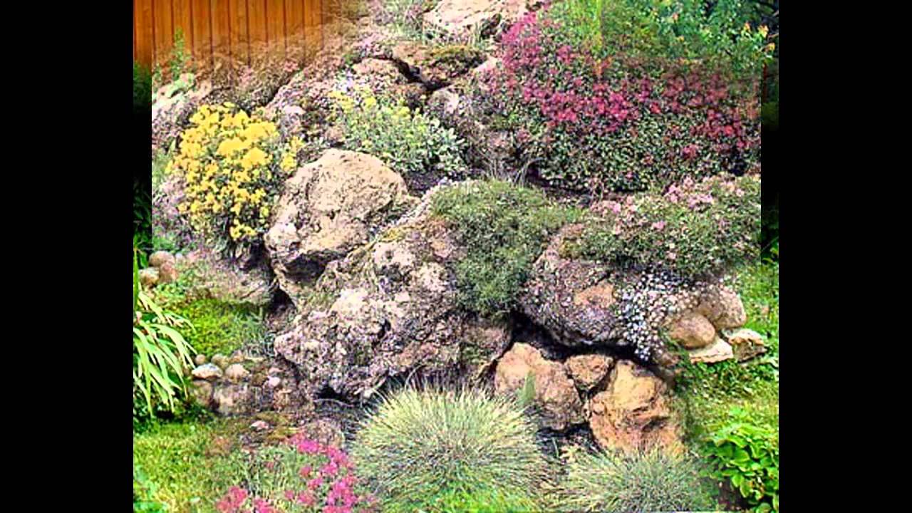 [Garden Ideas] plants for rock gardens