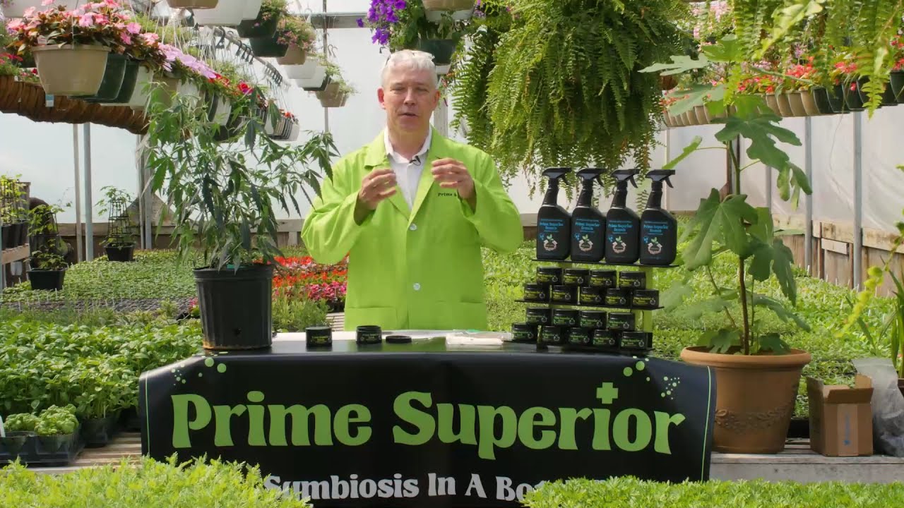 Prime Superior Seed - Episode #1 Welcome to the future of growing from seed!