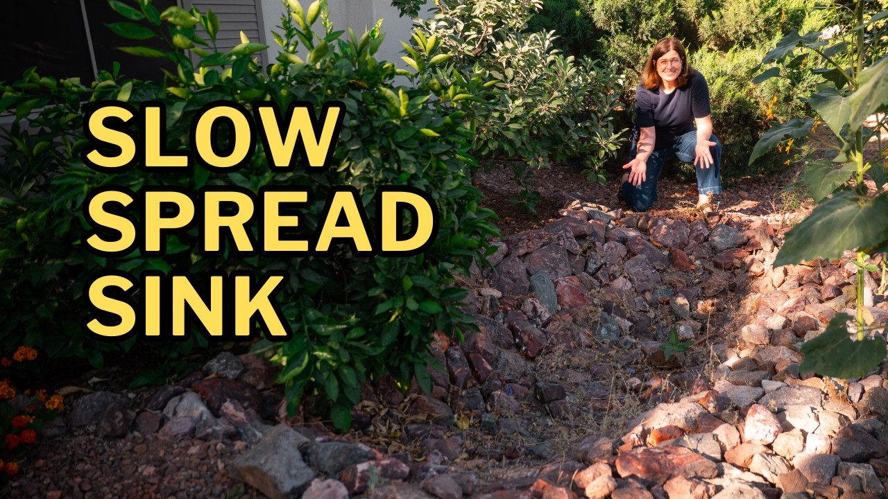 Don&rsquo;t Let This Year&rsquo;s Monsoon Rain Leave Your Yard