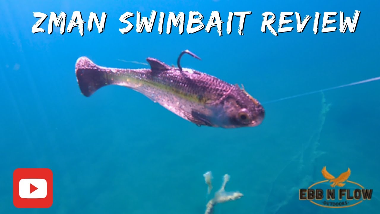 Ultimate Zman Swimbaits Review: Shadtron LT, Mulletron, and More!