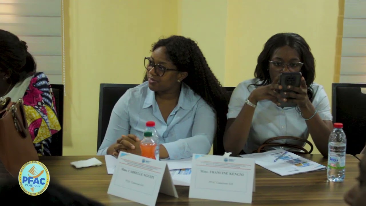 CABINET PRO FINANCE AUDIT CONSEIL   PFAC Cameroun