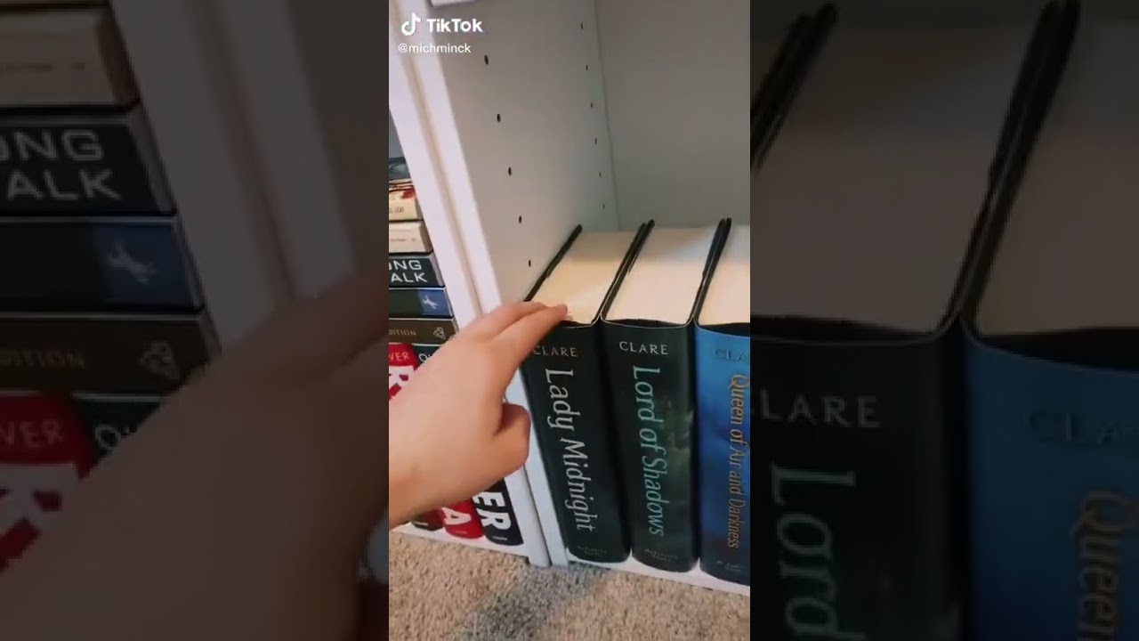 How NOT to start reading the shadow Hunter chronicles 📚📕 #shorts #books