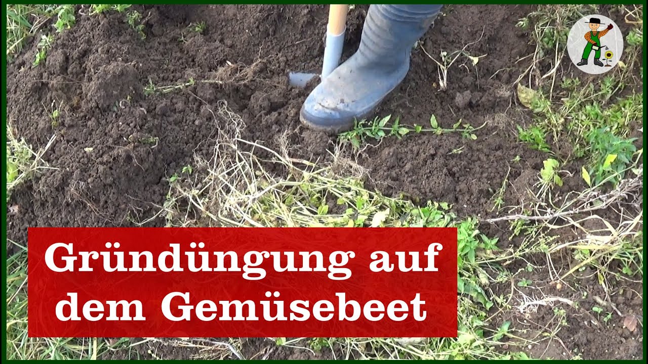 Gr&uuml;nd&uuml;ngung beim  Gem&uuml;sebeet - Neuer Garten - Teil 11