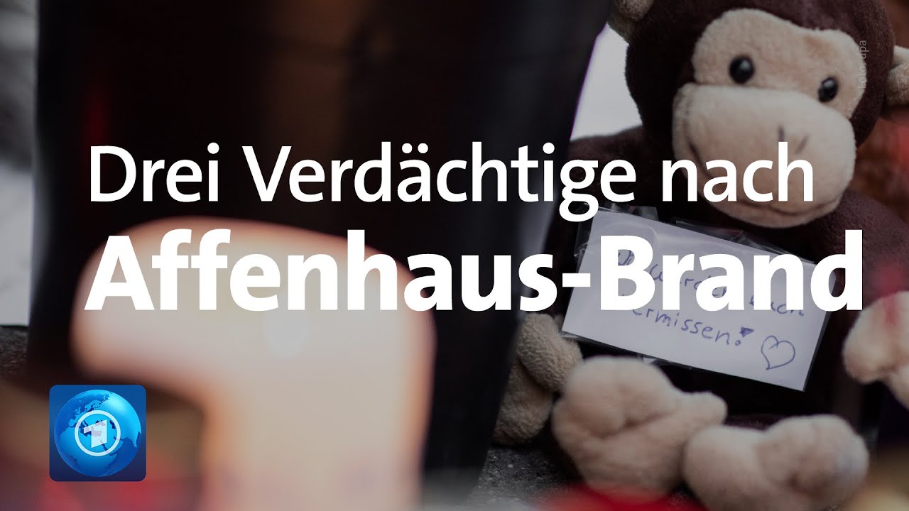 Affenhaus abgebrannt: Verdächtige melden sich bei Polizei Krefeld