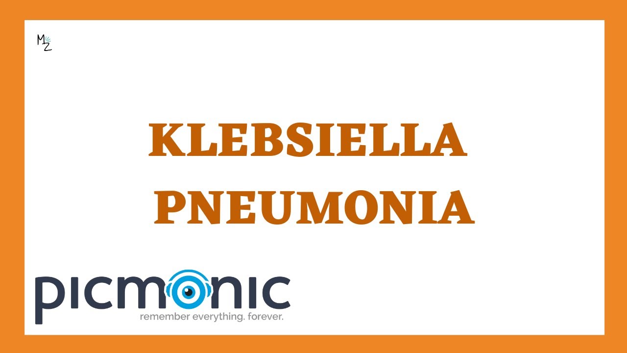What is Klebsiella pneumoniae? Symptoms of pneumonia and UTI caused by K. pneumoniae