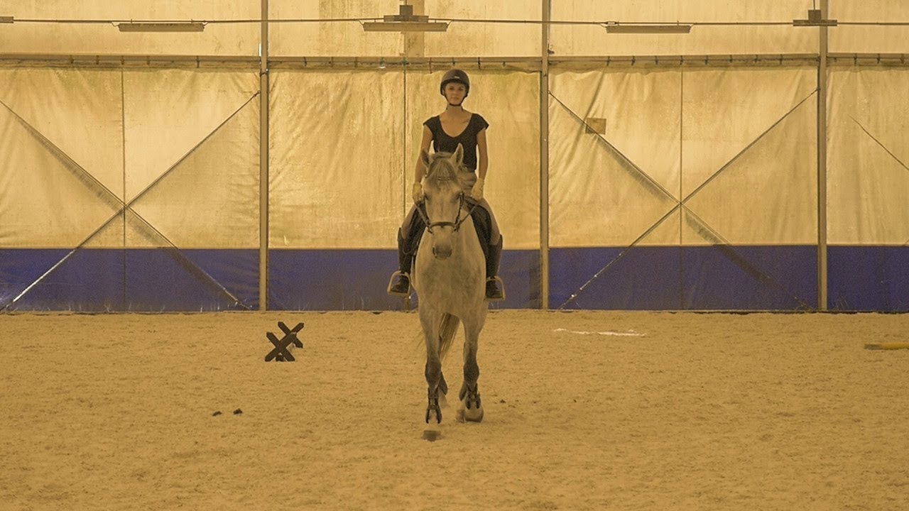Oxer