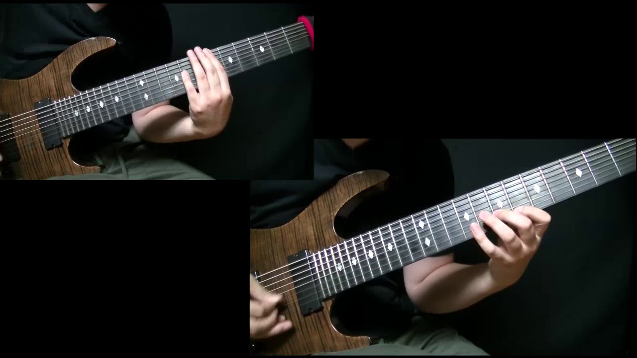 Animals As Leaders - Ectogenesis All Guitar Cover