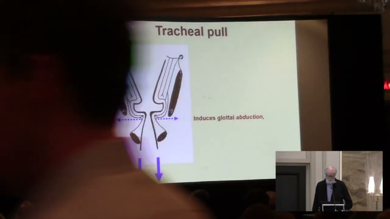 2024 Tutorials Part 1b: Breathing & Voice.