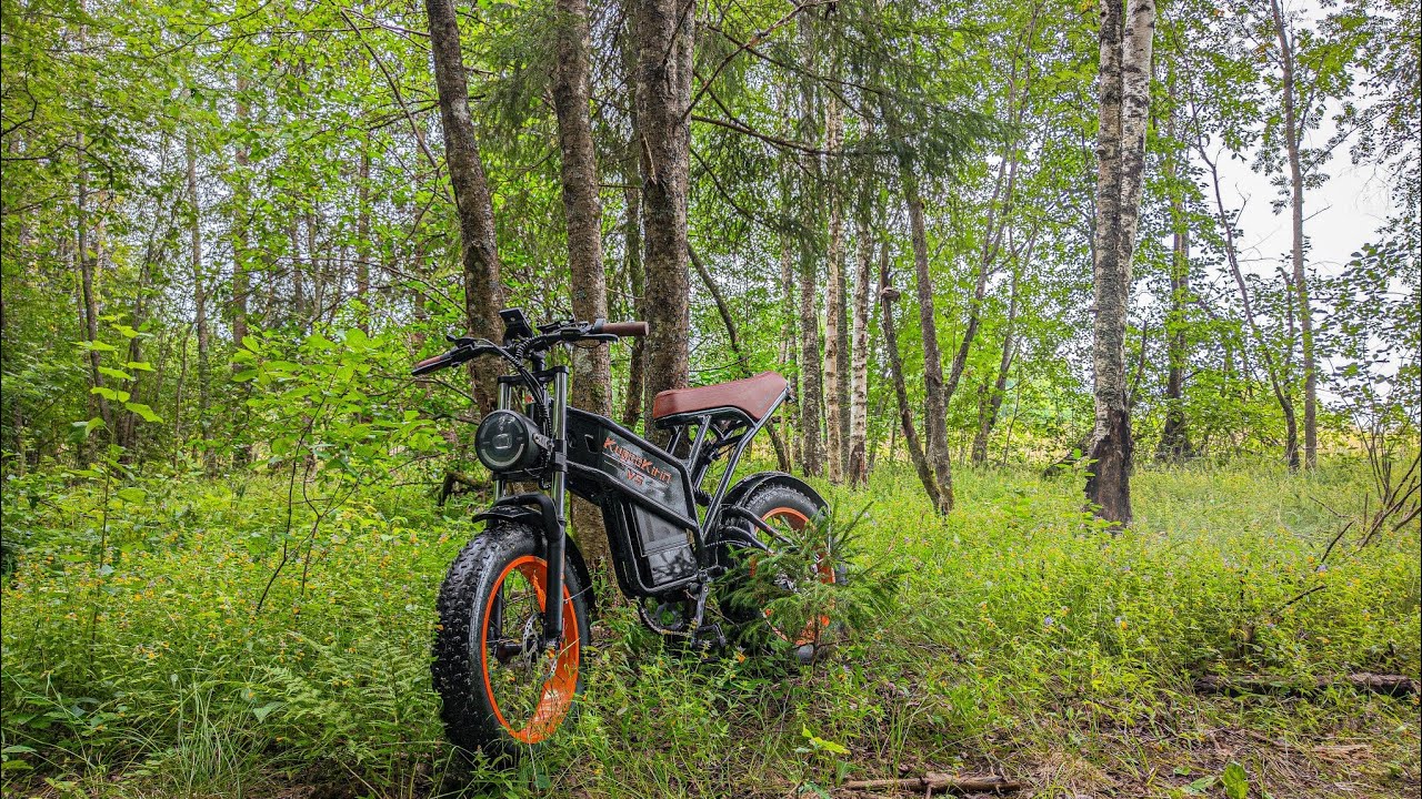 Проверка амортизатора с регулировкой отскока Kind Shock KS-291R 350 lbs. Часть 2