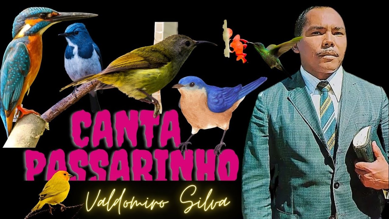 CANTA PASSARINHO - VALDOMIRO SILVA