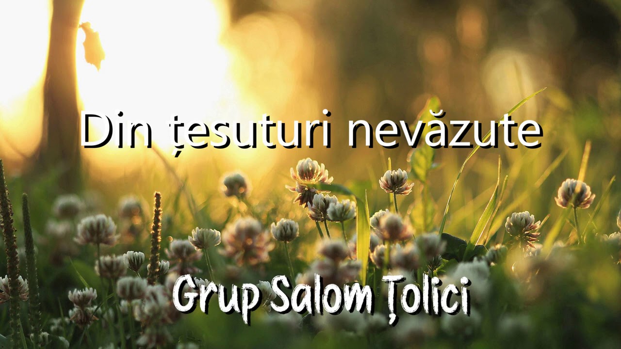 Grup Shalom Țolici - Din țesuturi nevăzute