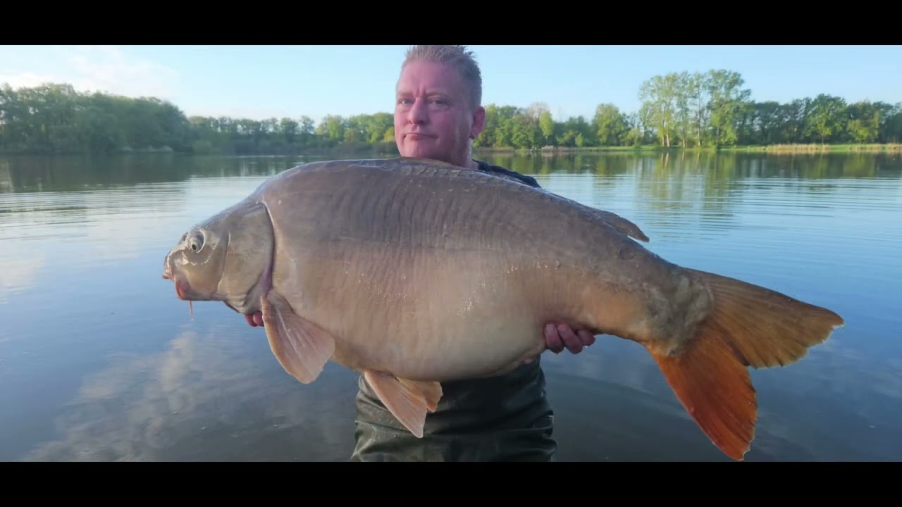etang du furet carp karper 2024