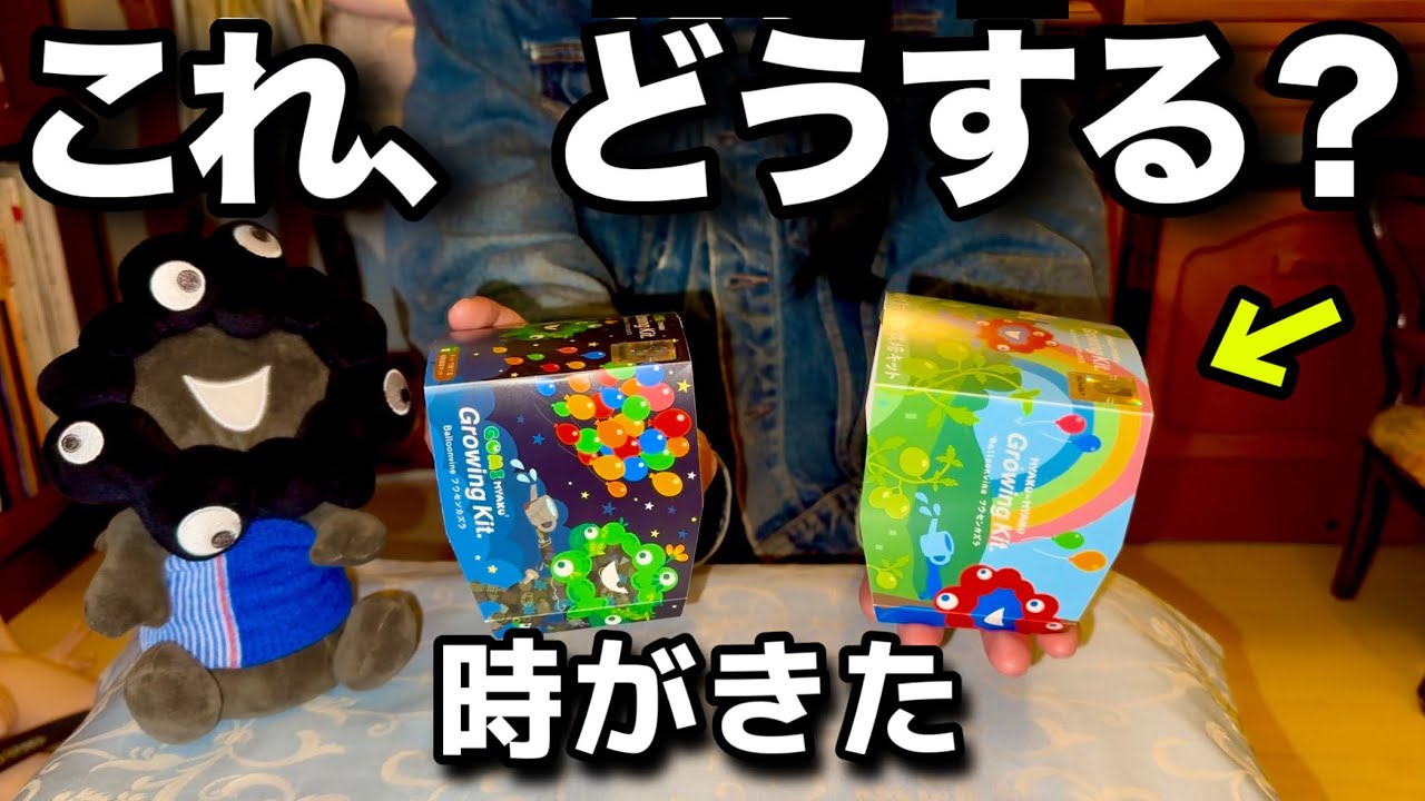 手探りすぎる…ミャクミャク栽培キットでついにあの種を植えます