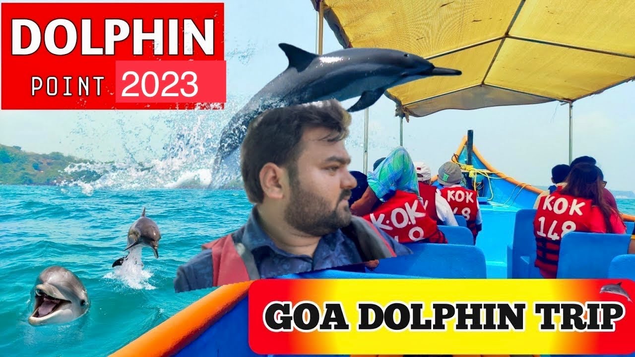 Dolphin Point Goa | Dolphins Trip in Goa near Calangute | 300/- Rs.@Coco Beach | Coco Beach Goa