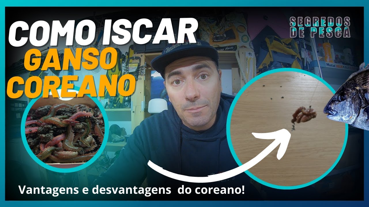 Como iscar Ganso Coreano. Vantagens e desvantagens de pescar com Ganso Coreano.