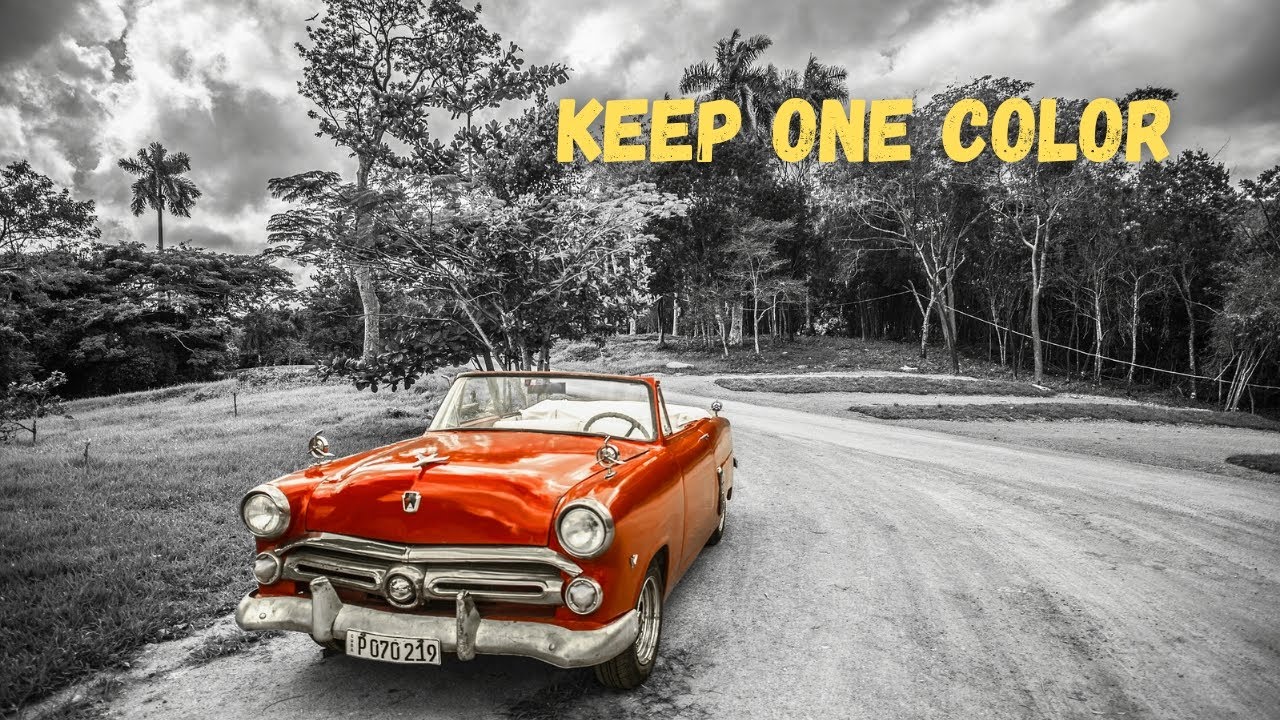 keep one color photo editing| Color splash effect|Canva tutorial 2024