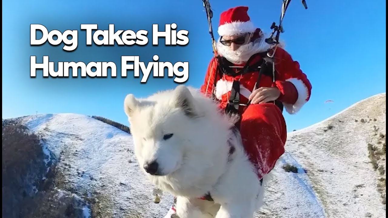 “I needed him as much as he needed me.” Shams & Ouka the flying dog on Polarsteps