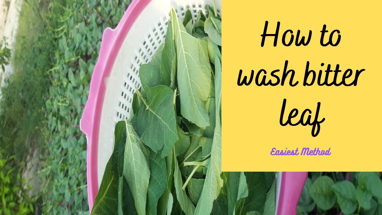HOW TO WASH BITTER LEAF WITH HOT WATER| The Easiest Way and Least  Stressful Method