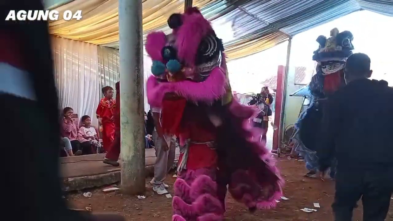 atraksi barongsai||burok BRM bangkit remaja music team barongsai Dudi cs live desa Manggari/oleced