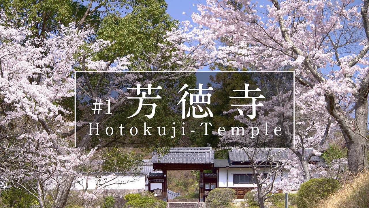 芳徳寺編「第１話」（天乃石立神社・一刀石）｜奈良観光コンシェルジュが奈良市のお寺をご紹介：Hotokuji-Temple in Nara City｜Nara