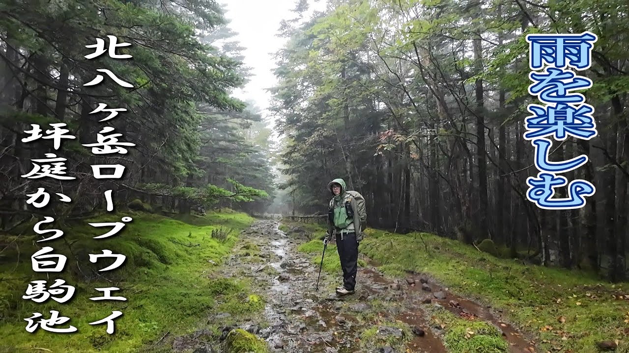 ＃100 雨の中を山歩して白駒荘に泊まる 北八ヶ岳ロープウェイからスタート！