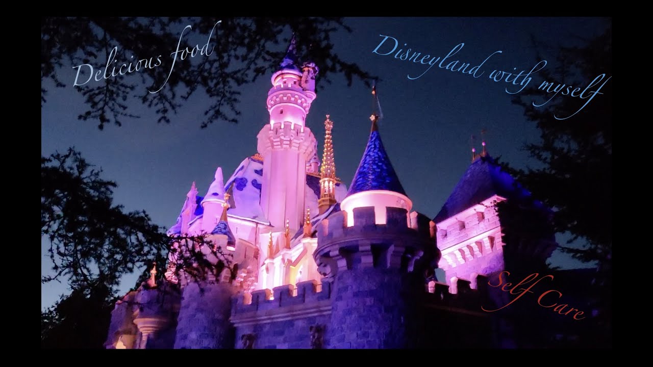 Disneyland Day With Myself