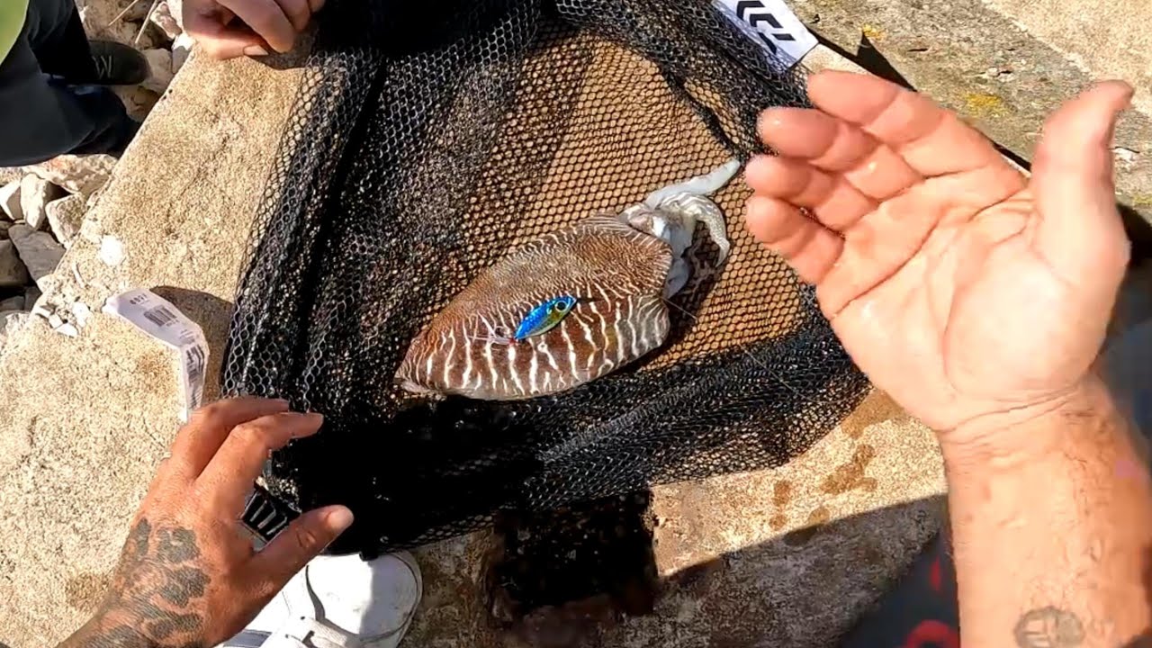 UM DIA EM QUE TUDO ACONTECEU!!