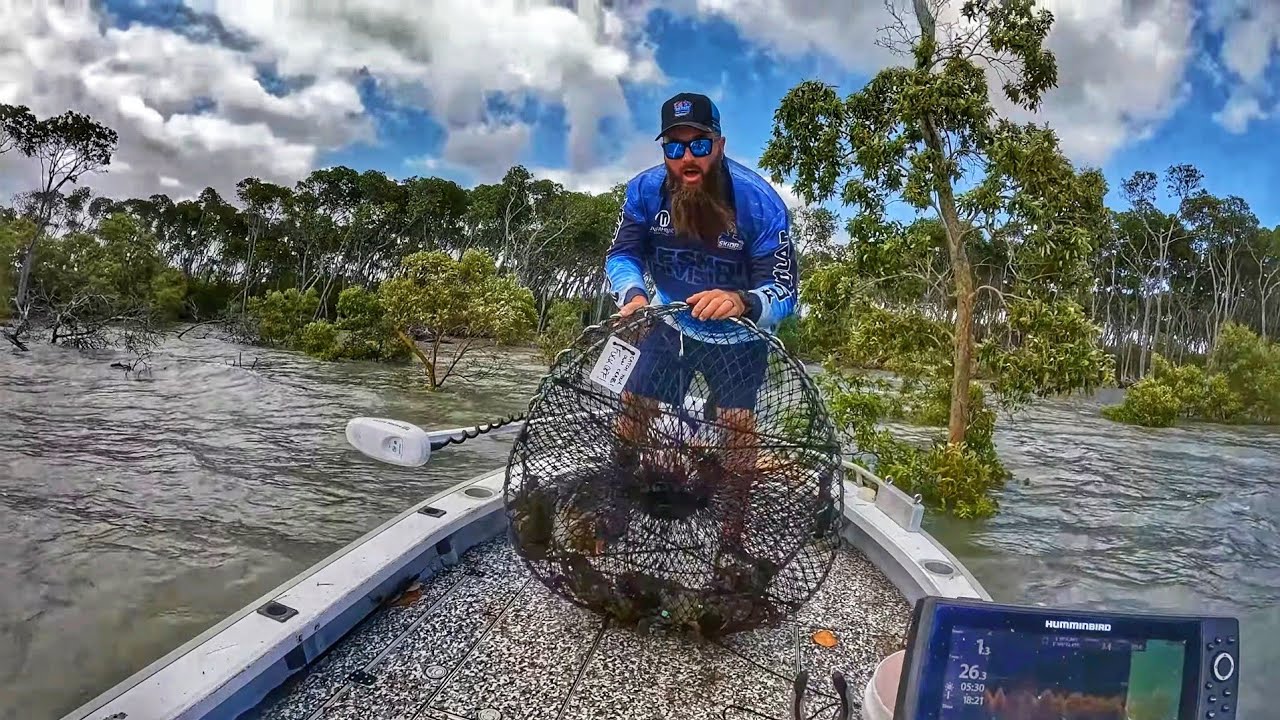 So Many Mud Crabs Caught Using WEIRD BAIT