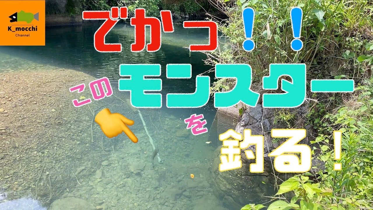 弥栄ダム陸っぱりでモンスター出現！！！